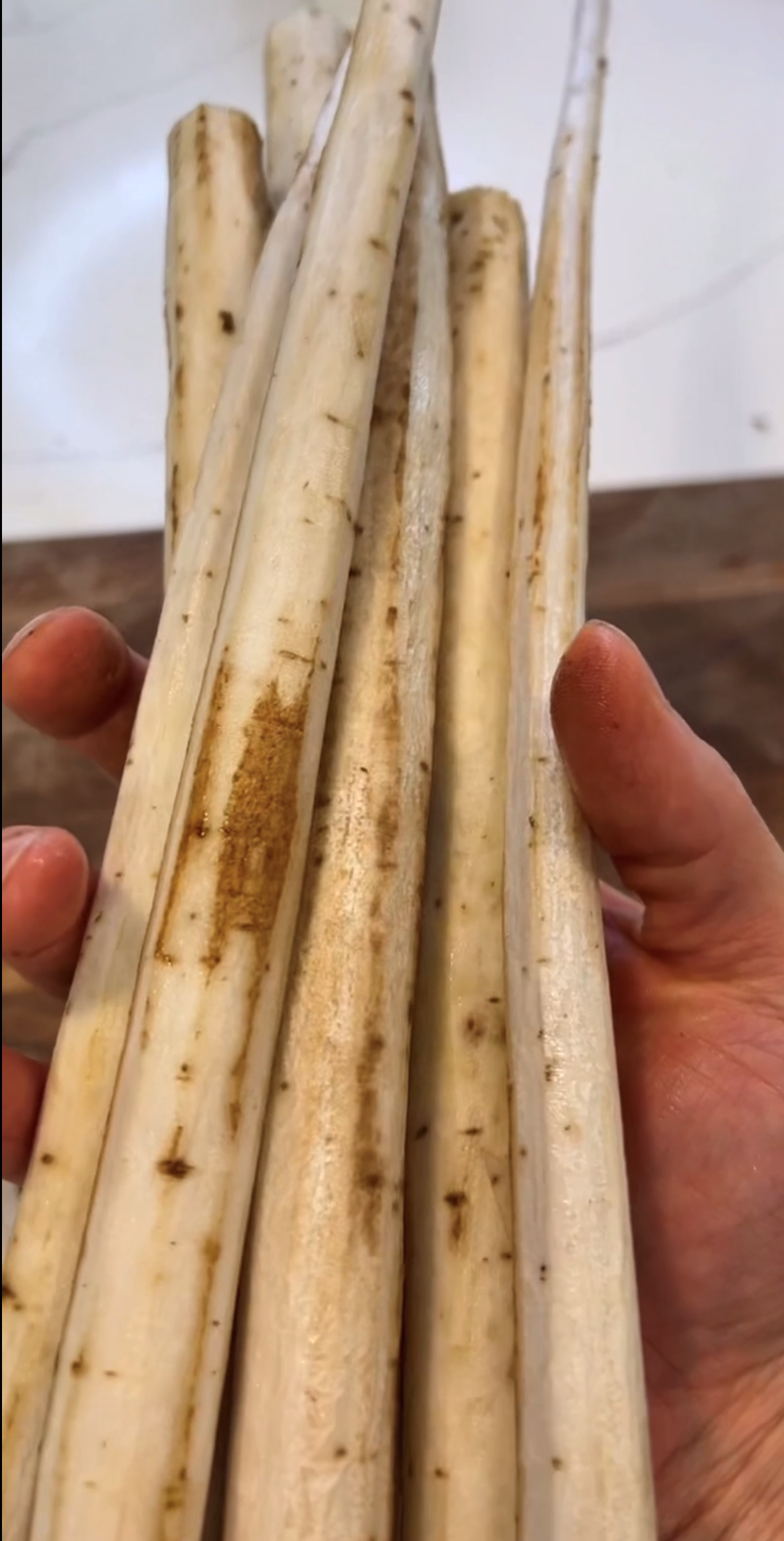 Peeled and cleaned burdock root 