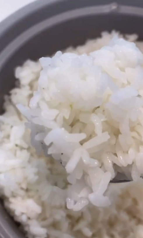 Freshly steamed rice 