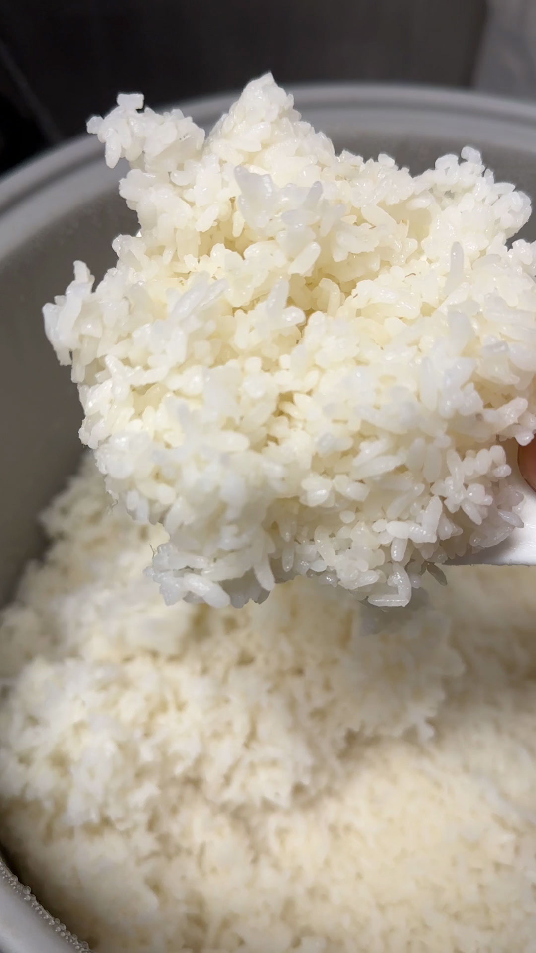 Freshly Cooked Rice