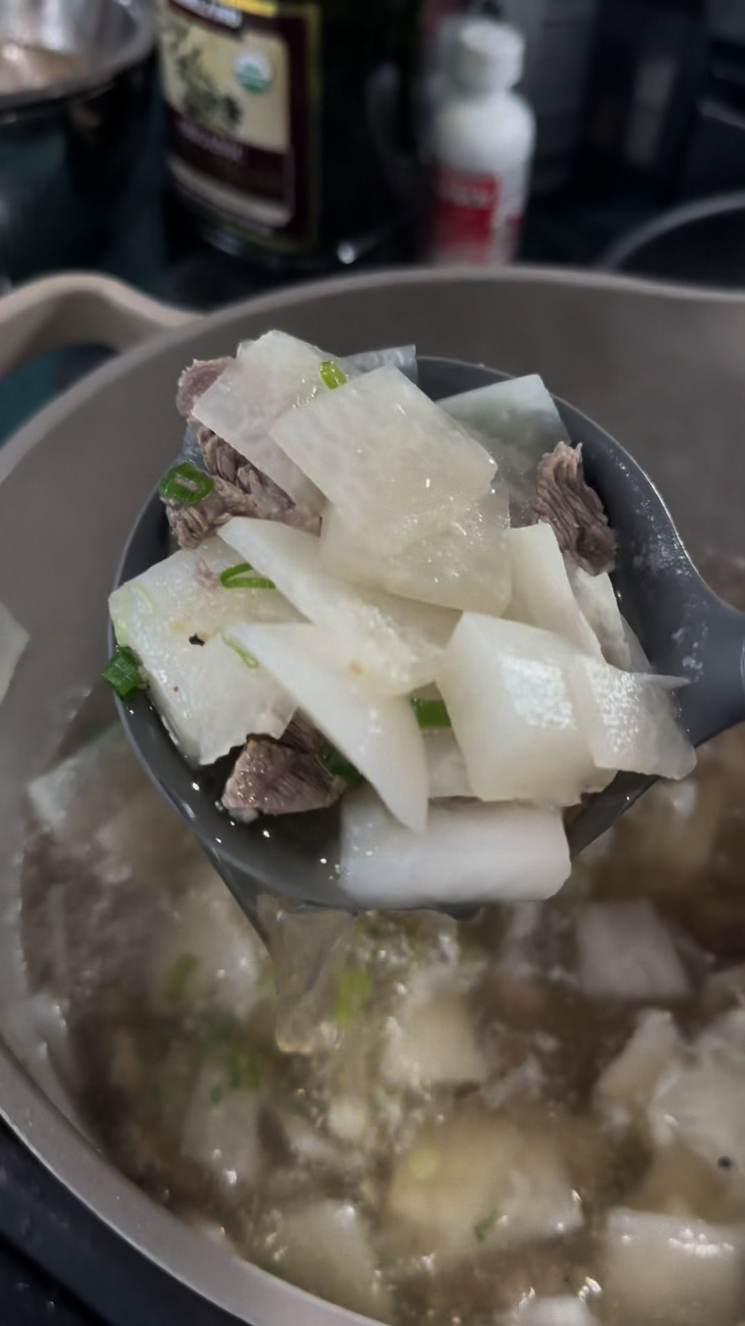 Beef and Radish Soup 