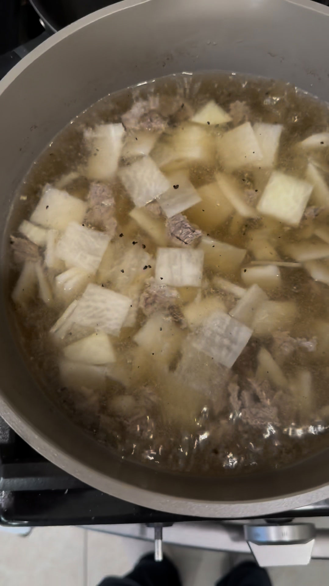 Beef and Radish Soup 