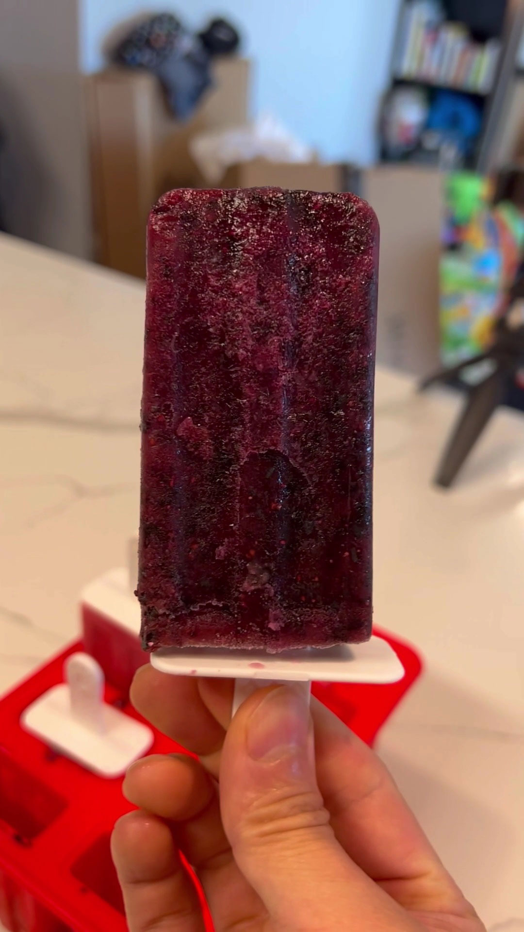 Blueberry Fruit Popsicle