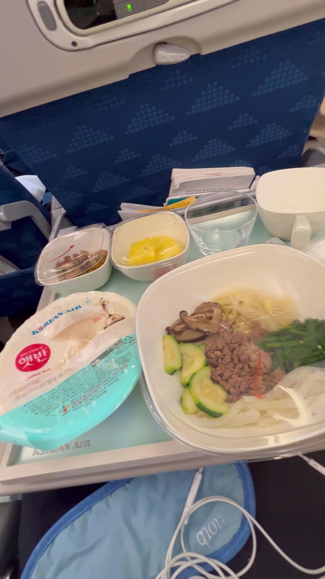 Korean Airplane Food 3 