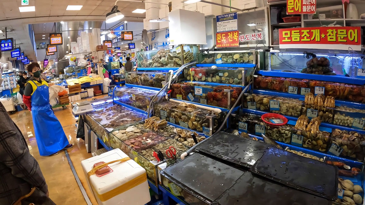 Shellfish selection in Noryangjin Fish Market 