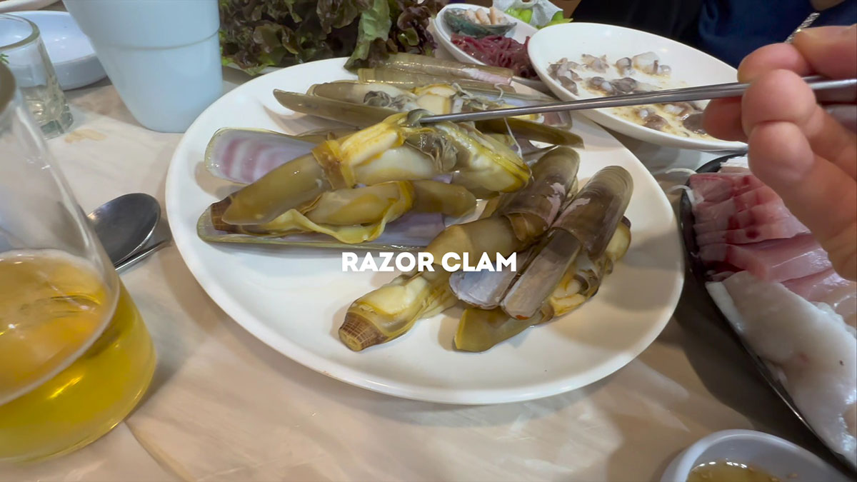 Razor clams 