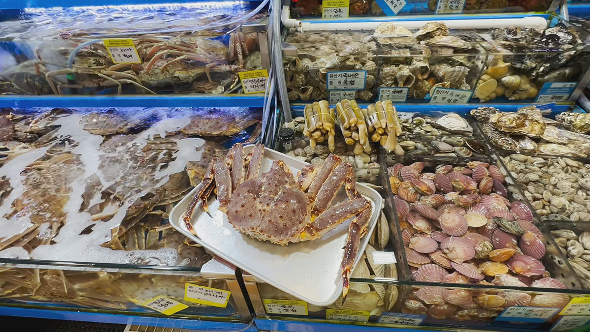 King Crab and shellfish selection in Noryangjin Fish Market 