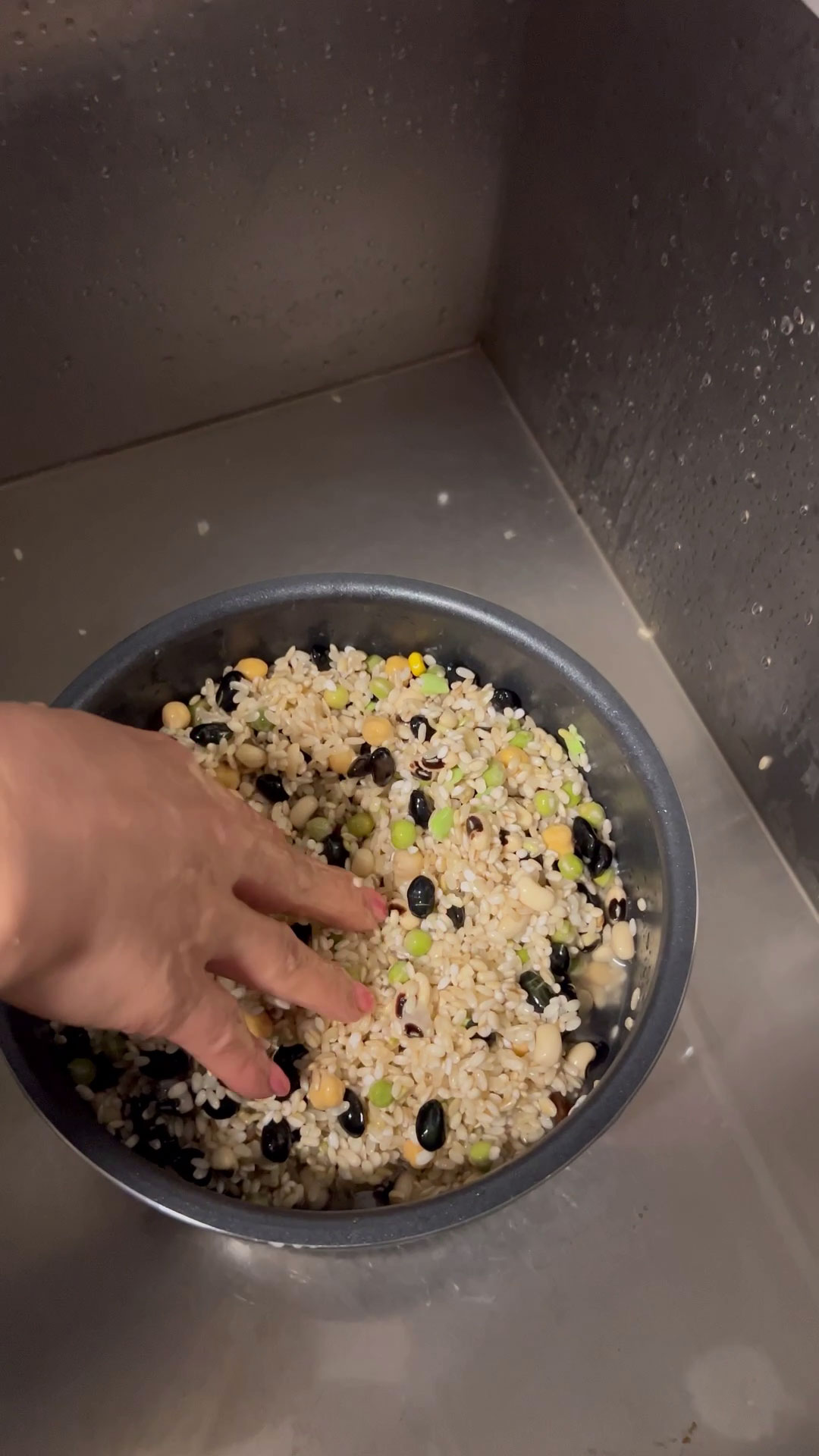 Mixture of Brown Rice, Black Beans, Black Eyed Peas, Green Peas, Chickpeas, and Glutinous Rice