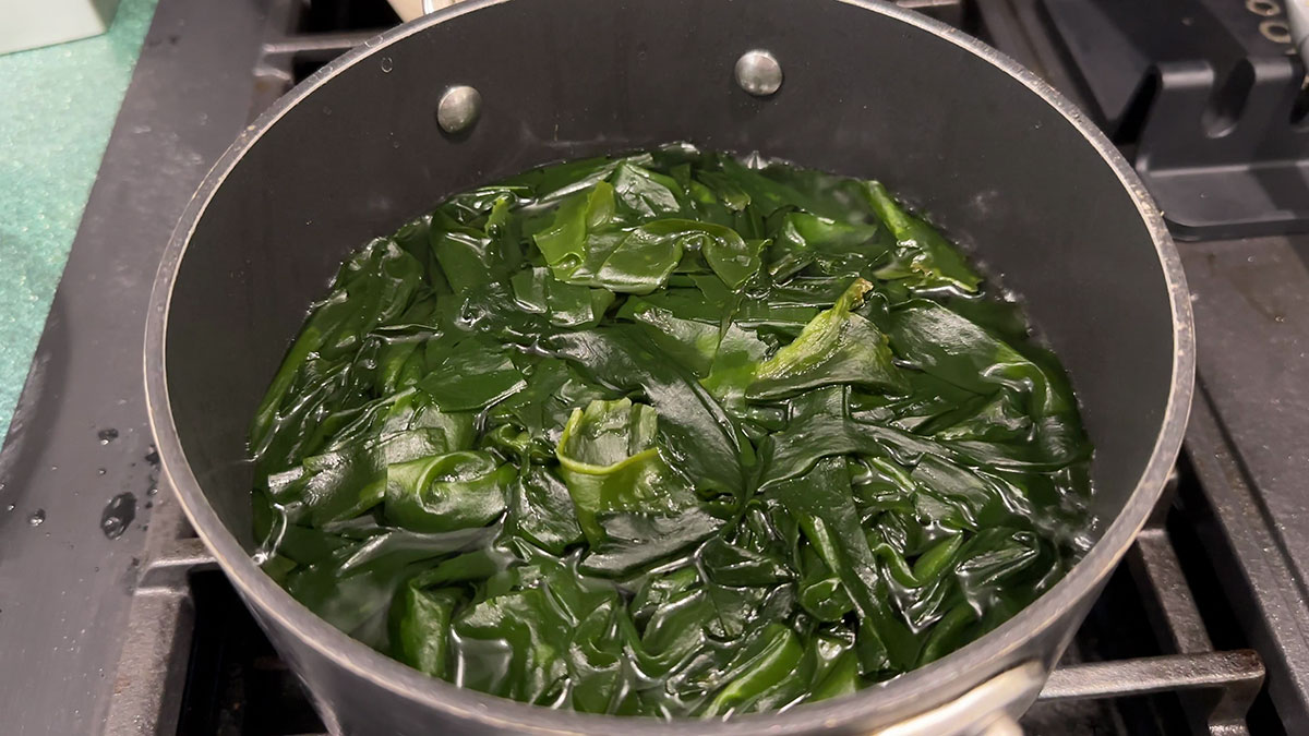 Blanching dried seaweeds