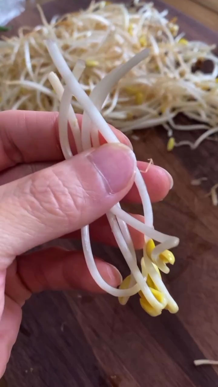 Clean soybean sprouts