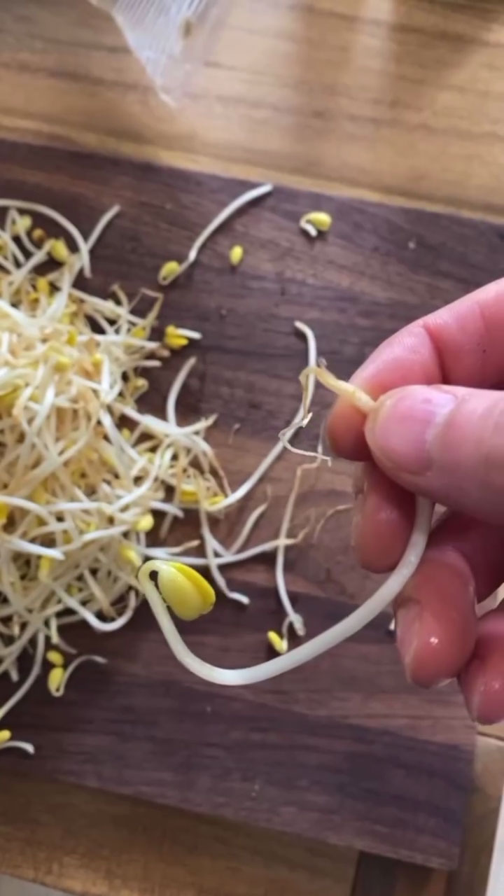 Remove the roots of the soybean sprouts