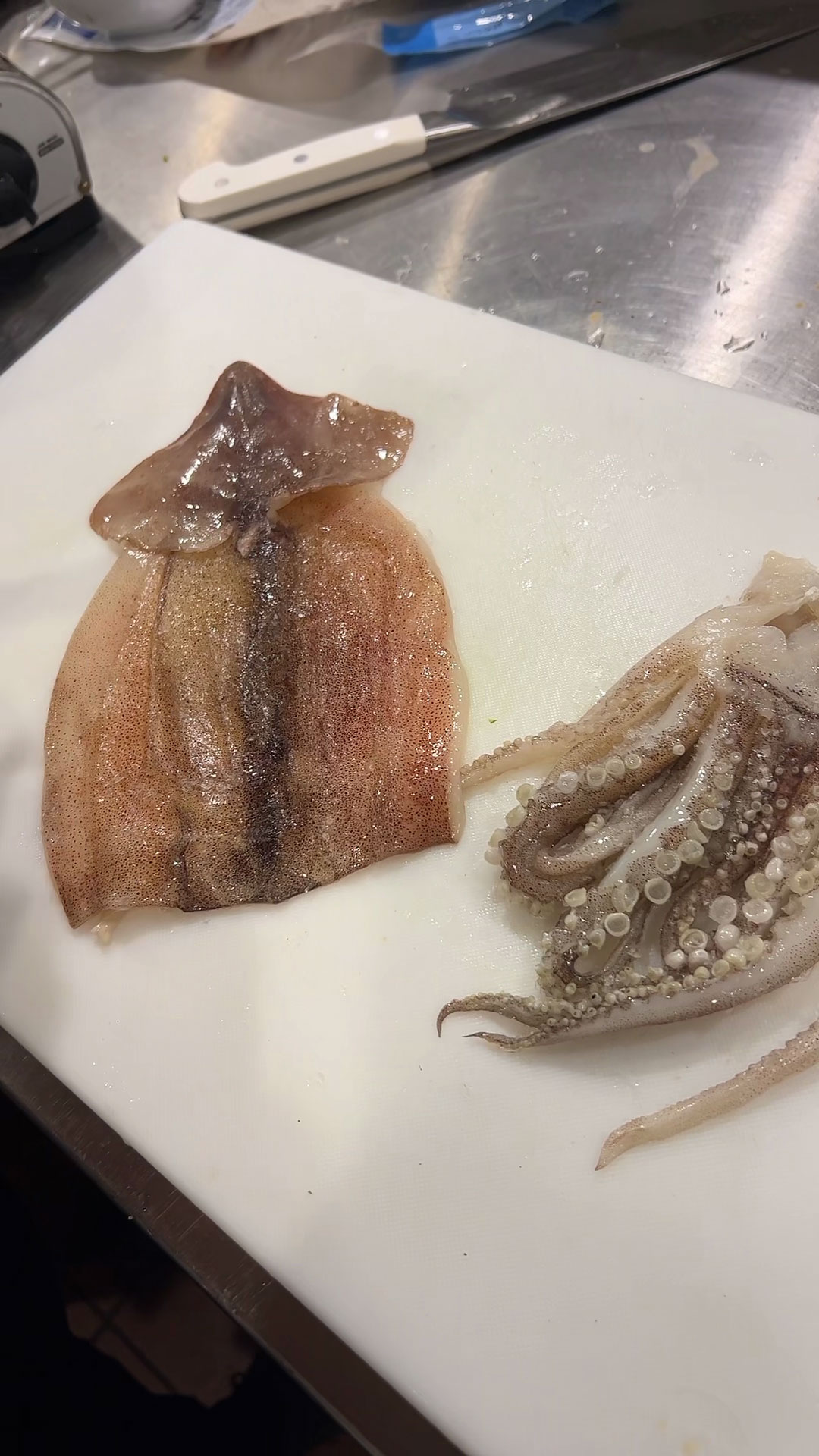 Frozen Whole Squid