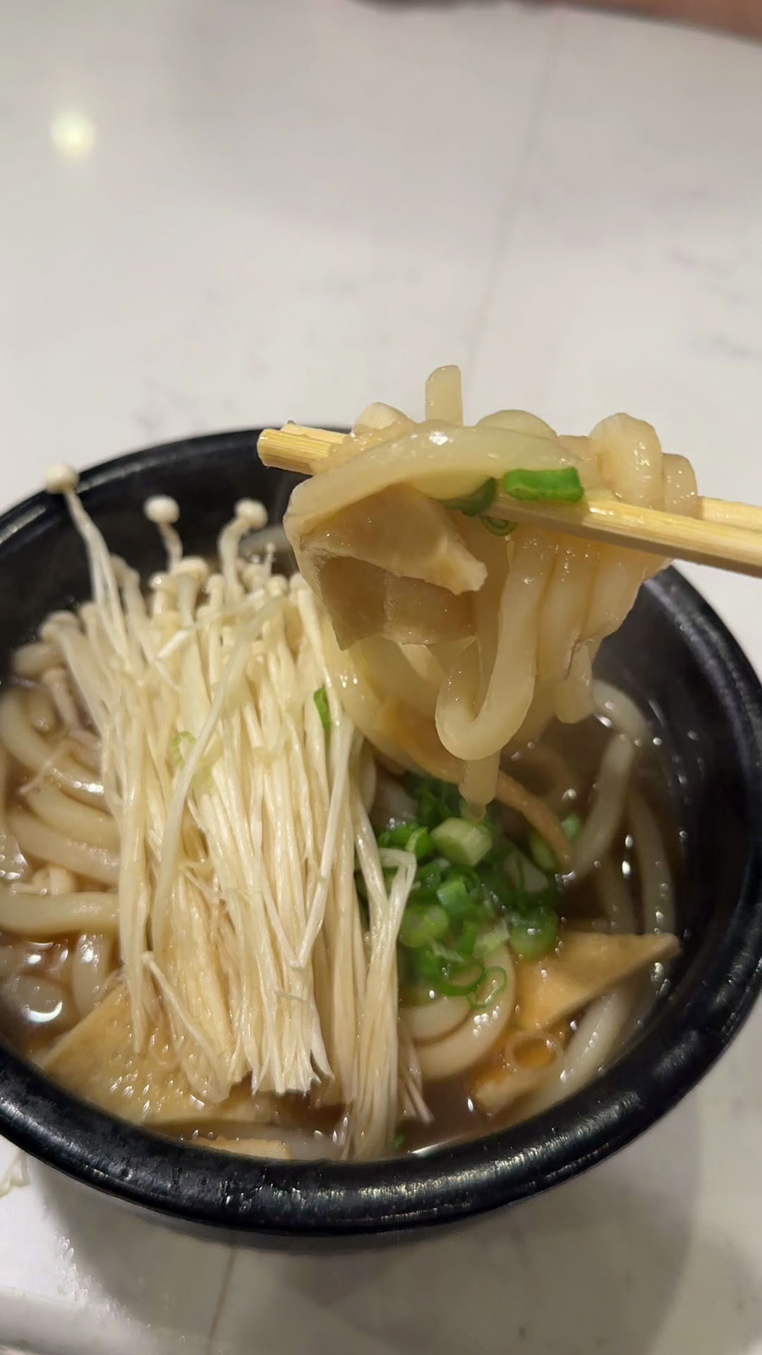 Udon Noodle Soup 